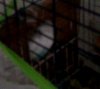 Screenshot_2019-02-28-17-04-50_1.jpg