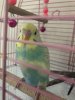 42203260-08BD-4D9F-A87D-D853DF83885E.jpeg