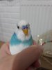 20190313_191941.jpg
