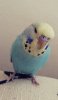 2019-02-27-12-53-36-616.jpg