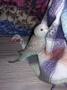 20190319_213724.jpg