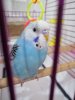 IMG_20190322_231514.jpg