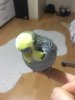 9A863DC3-BD62-49AF-9F54-5AD2679D94E3.jpeg