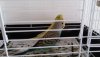 20190407_140112.jpg
