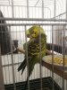 IMG_20190414_082943.jpg