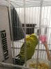 IMG_20190414_082503.jpg