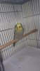 20190425_031245.jpg