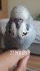 IMG_20190429_064904_616.jpg