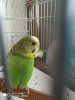 IMG_20190503_080933.jpg