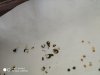 IMG_20190503_080954.jpg