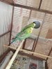 IMG_20190506_121455.jpg