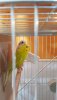 20190511_115456.jpg