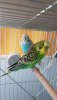 20190513_093318.jpg