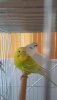 20190513_093338.jpg