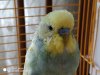 IMG_20190513_102348.jpg