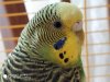 IMG_20190513_112217.jpg