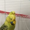 64872765-C6B4-4F15-8BAD-88F222F2993E.jpeg