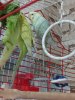 IMG_20190508_163731.jpg