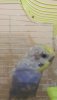 13485FD9-95E5-41A9-B04C-93FC97570A94.jpeg