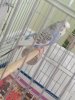 20190522_135919.jpg