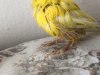 48A97A2D-C6F2-4733-B657-7DA9D941E305.jpeg