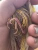 75B37B4C-39DF-47D5-879E-C1E303A8042A.jpeg