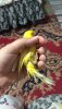 7719DD50-522F-433A-AAD9-A1995CA32289.jpeg