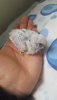 IMG-20190603-WA0013.jpeg