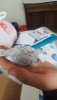 IMG-20190603-WA0009.jpeg