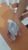 20190605_200833.jpg