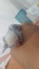 20190605_200717.jpg