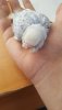 20190607_165329.jpg
