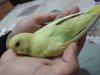 IMG_20190524_185141.jpg