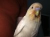 43B82D6E-5E85-4C8C-AF5D-2704BD62DEB4.jpeg