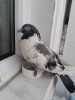 20190615_130647.jpg