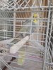 IMG-20190615-WA0018.jpg