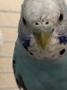 6811BD1B-ED09-4E75-B884-45DAE0264EBB.jpeg