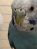 7D3DEF27-F242-4D83-B691-83FD50243B4C.jpeg