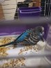 IMG_20190617_200036.jpg