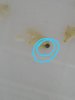 IMG-20190621-WA0089.jpg