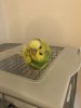 31DB79AE-213C-447A-ABAB-3024F1DC96EB.jpeg
