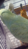 Screenshot_2019-06-26-12-59-54.png