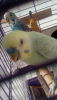 Screenshot_2019-06-26-12-59-48.png