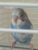 IMG_20190627_080047.jpg