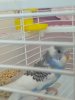IMG_20190627_080055.jpg
