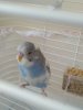 IMG_20190627_080925.jpg
