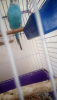 Screenshot_2019-06-28-14-21-19.png