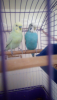Screenshot_2019-06-28-14-21-10.png