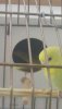 20190630_104330.jpg