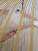 20190704_182719.jpg